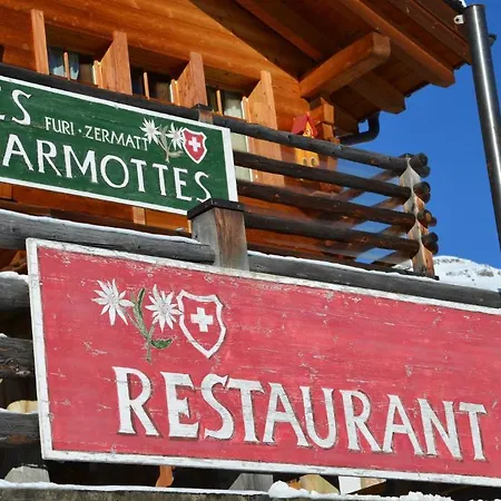 Les Marmottes *
